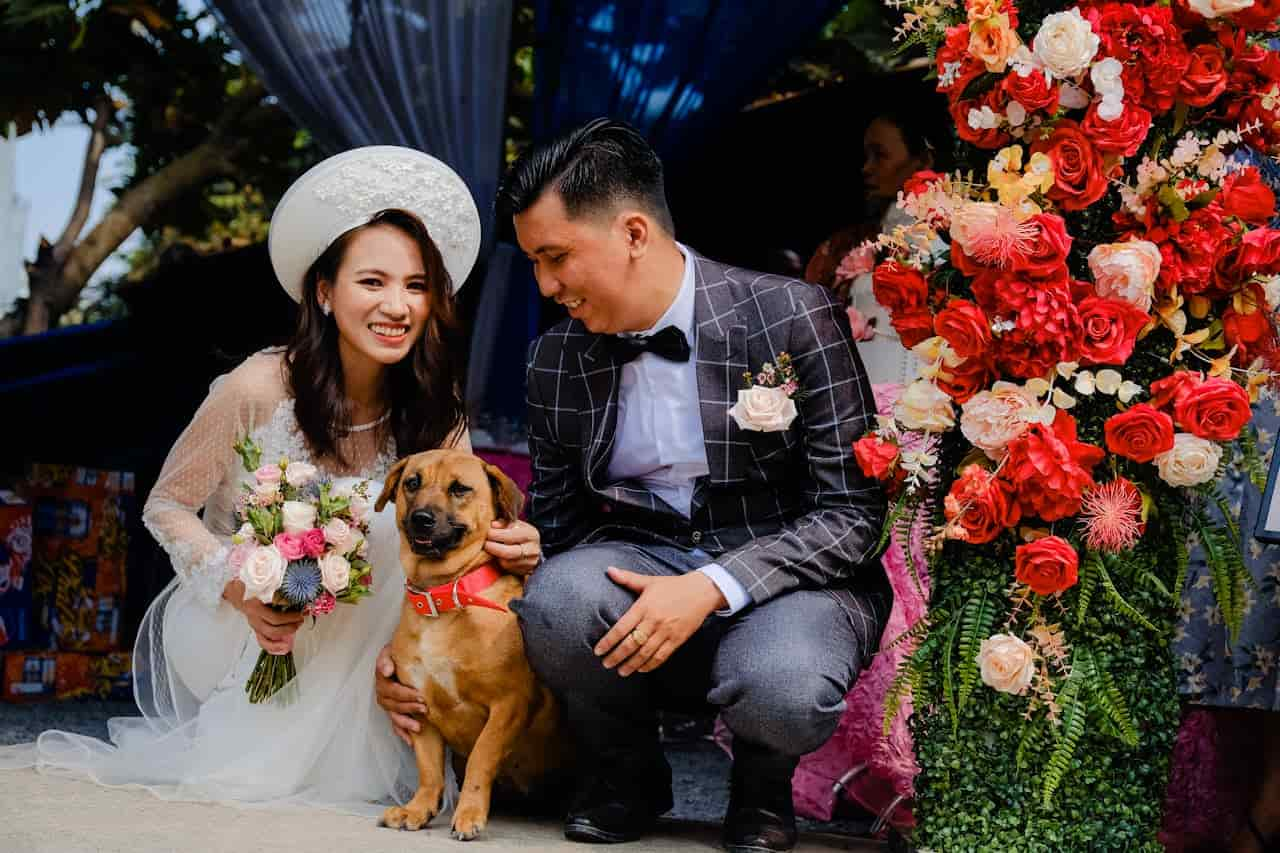 pet-friendly-wedding-venue